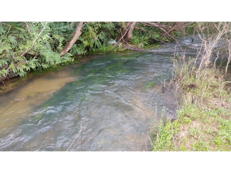 Lot 1 Grafton st, Lowanna NSW 2450