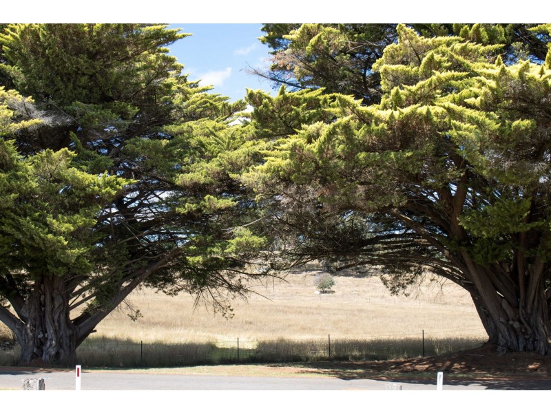 Lot Lot 1, 18 Armstrong Avenue, Strathbogie VIC 3666