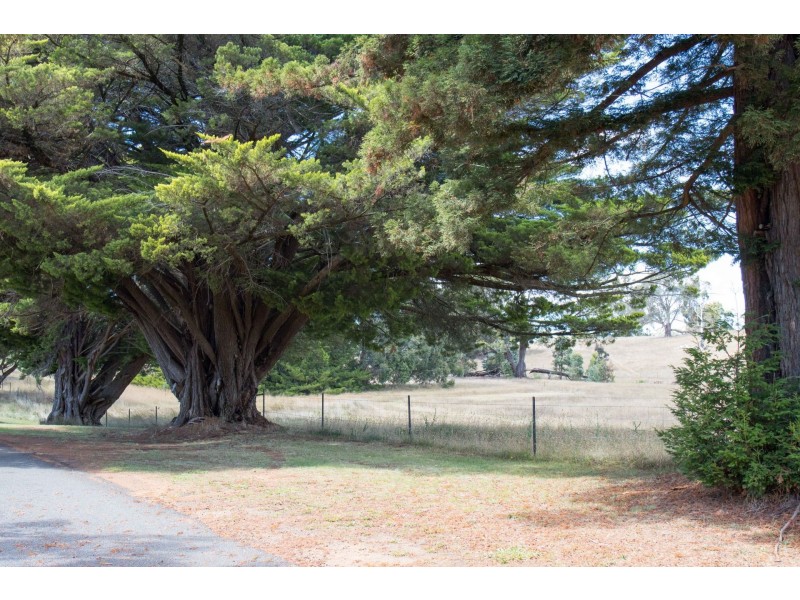Lot Lot 1, 18 Armstrong Avenue, Strathbogie VIC 3666