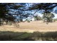Lot Lot 1, 18 Armstrong Avenue, Strathbogie VIC 3666