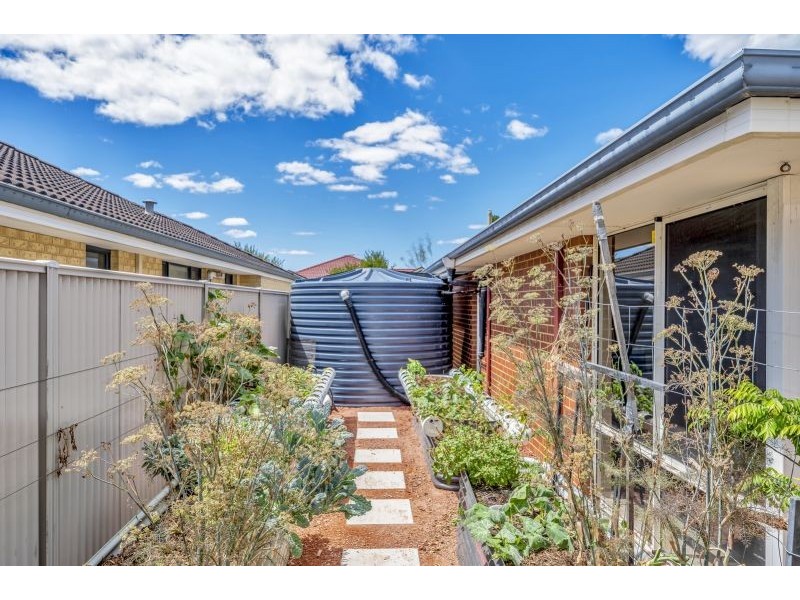 12 Sellafeild Bend, Waikiki WA 6169