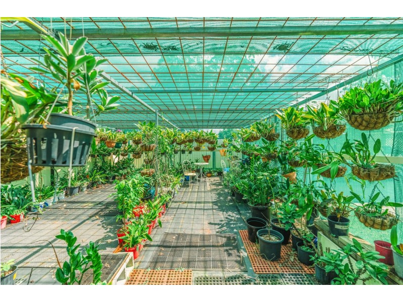 10-16 Fiddlewood Court, Park Ridge QLD 4125