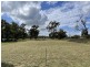 Lot 13 Farnell St, Mendooran NSW 2842