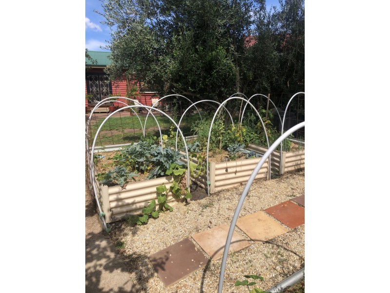 11 Charles St, Castlemaine VIC 3450