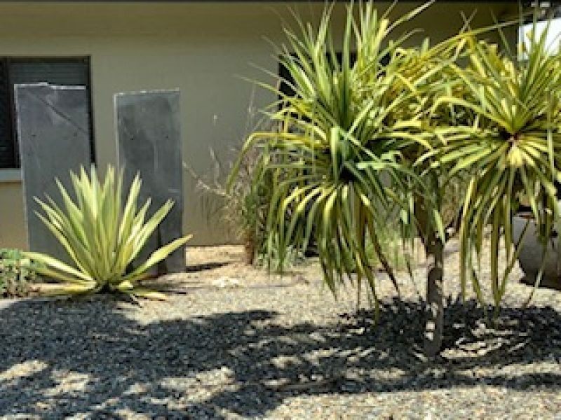 4 Derwent Street, Trinity Park QLD 4879