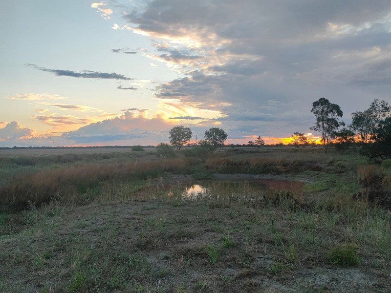 Lot 9 Church Street, Weemelah NSW 2406
