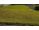 28 Mcinnes St, Minmi NSW 2287