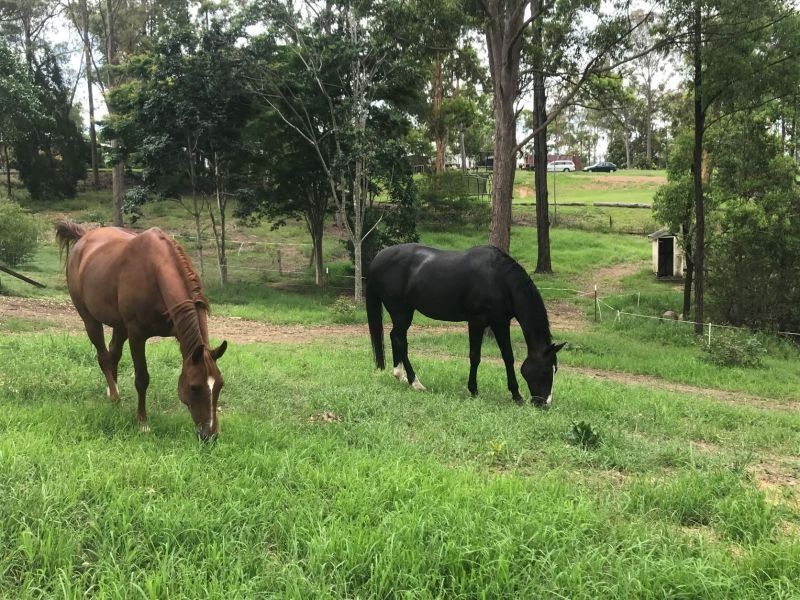 13 Van Doren Road, Southside QLD 4570