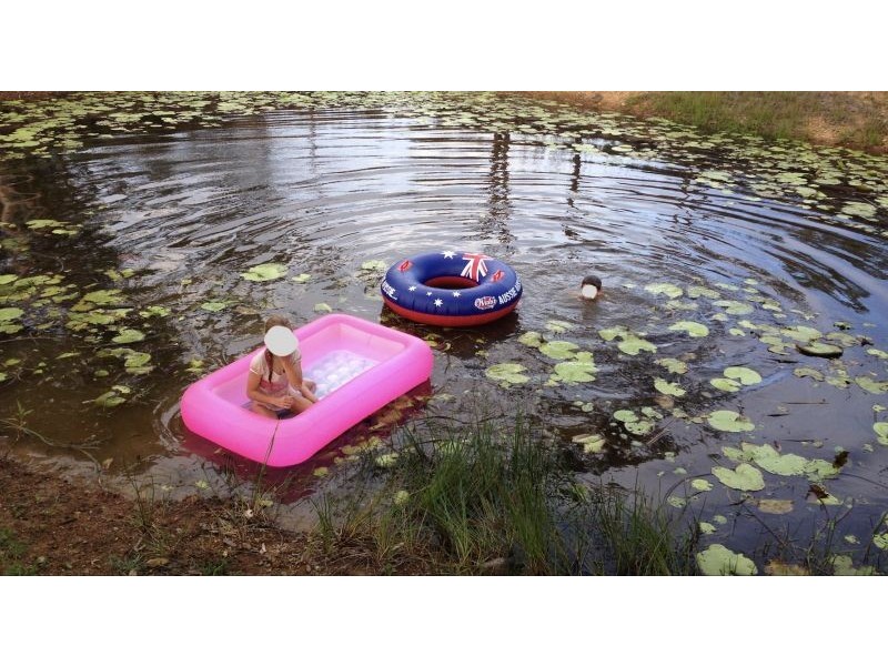 789 Greenhill Rd, Ilbilbie QLD 4738