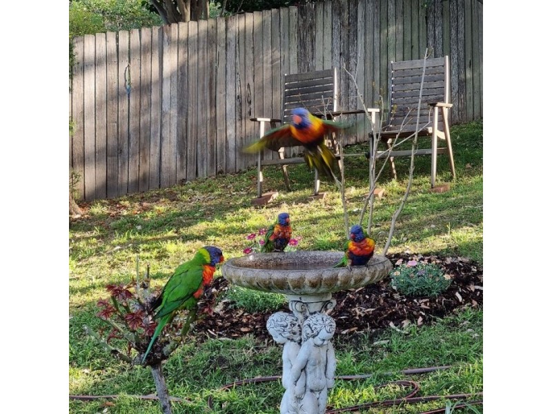 24 Woodlawn Avenue, Mangerton NSW 2500