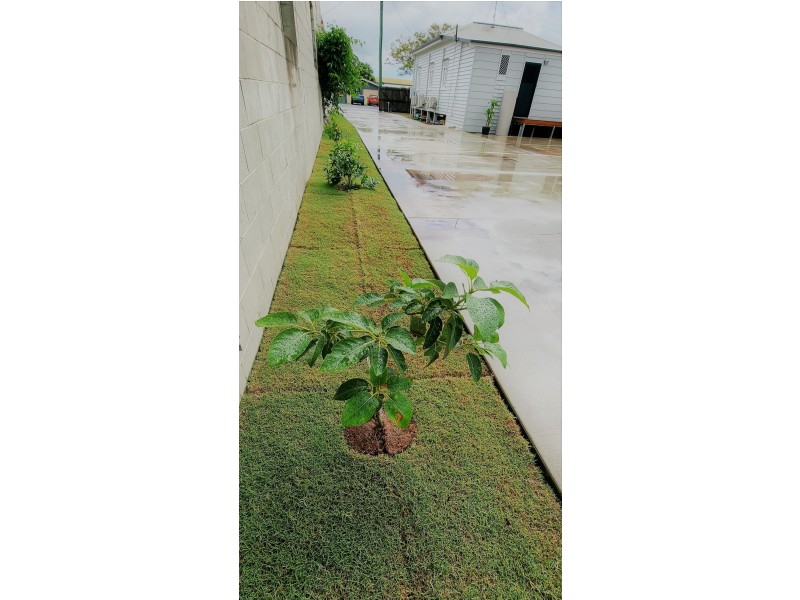 74 Watson St, Bundaberg South QLD 4670