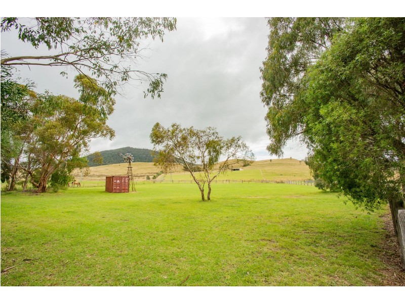 1310 Sandy Creek Road, Mccullys Gap NSW 2333