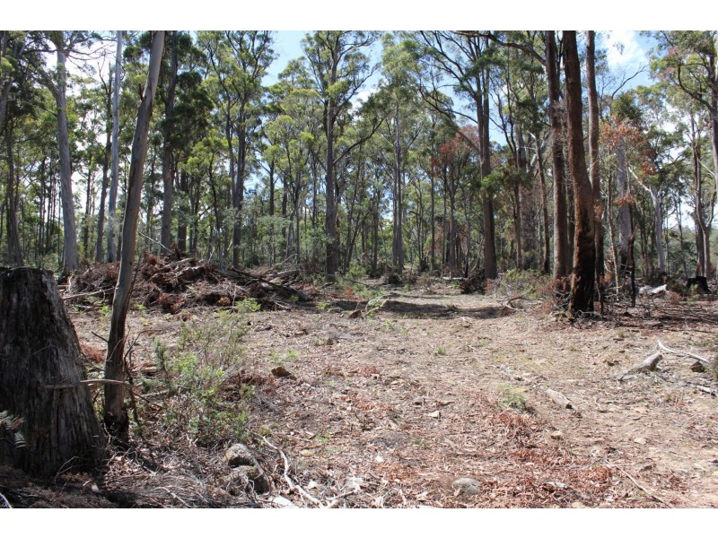 140 fishers tier rd, Rossarden TAS 7213
