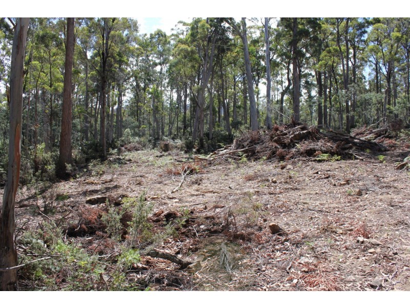 140 fishers tier rd, Rossarden TAS 7213