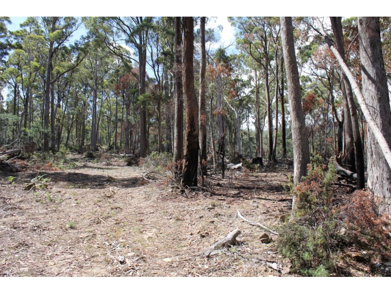 140 fishers tier rd, Rossarden TAS 7213