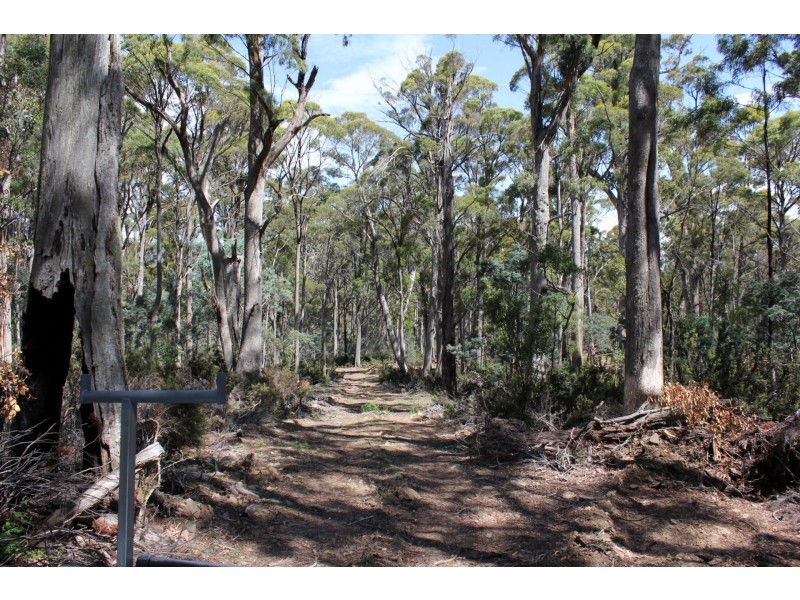140 fishers tier rd, Rossarden TAS 7213