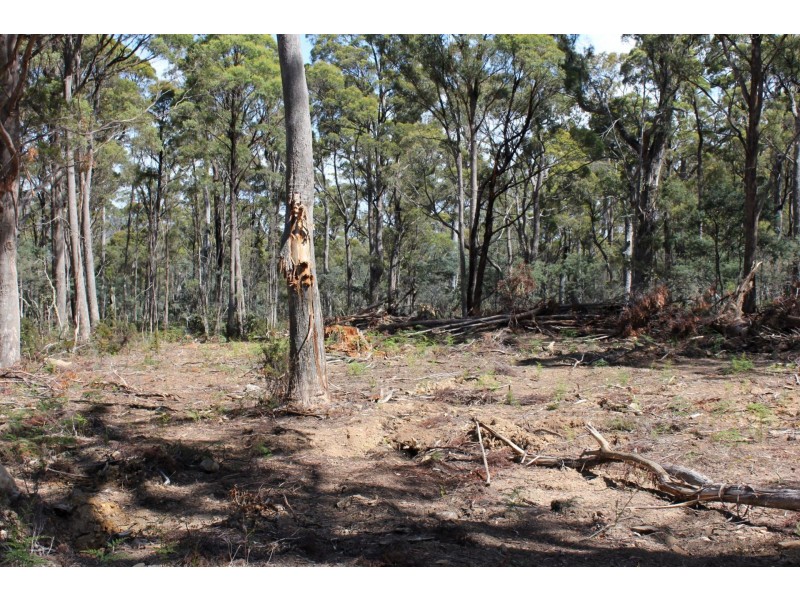 140 fishers tier rd, Rossarden TAS 7213