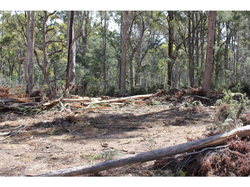 140 fishers tier rd, Rossarden TAS 7213