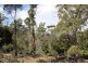 140 fishers tier rd, Rossarden TAS 7213