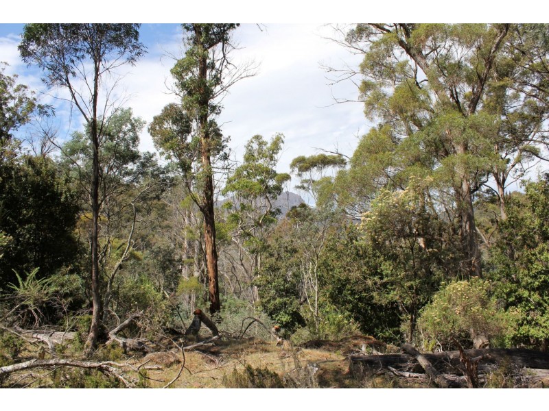 140 fishers tier rd, Rossarden TAS 7213