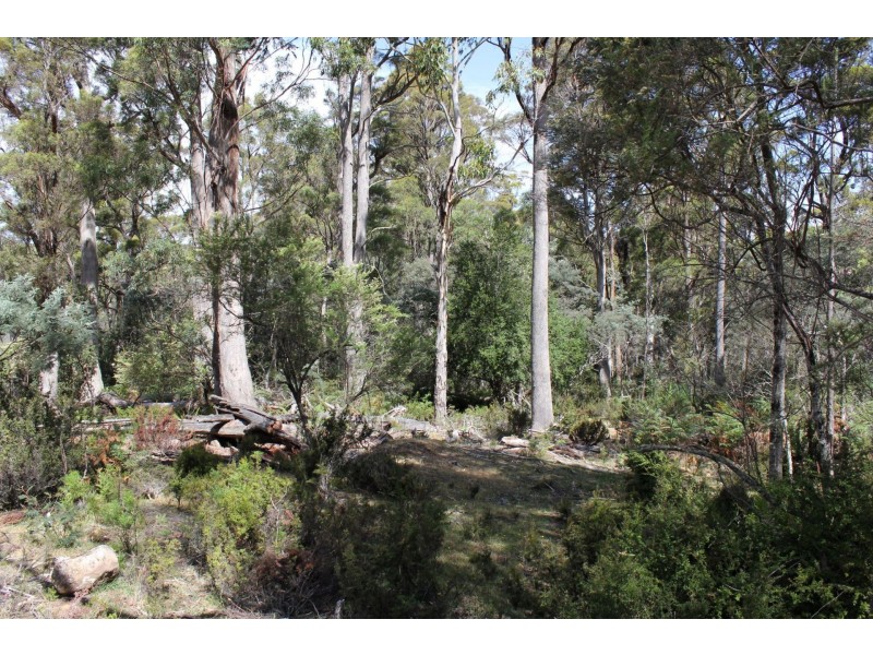 140 fishers tier rd, Rossarden TAS 7213