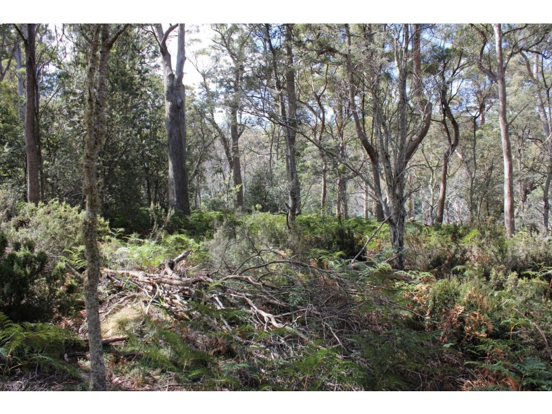 140 fishers tier rd, Rossarden TAS 7213
