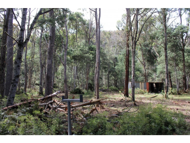 140 fishers tier rd, Rossarden TAS 7213
