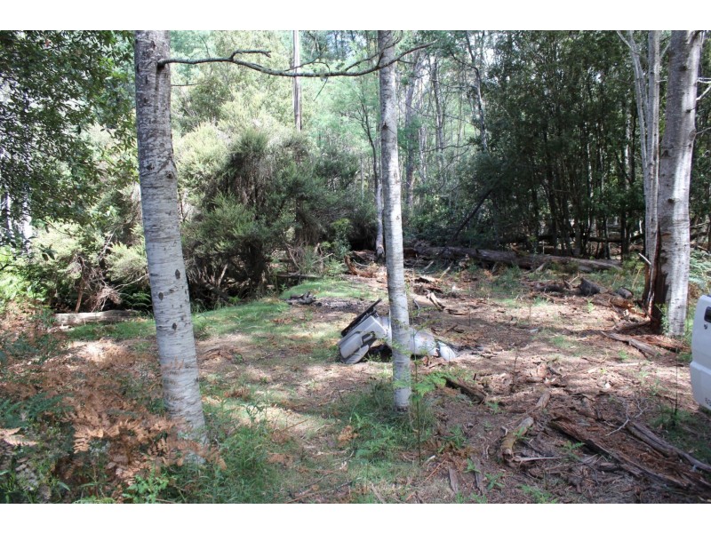 140 fishers tier rd, Rossarden TAS 7213