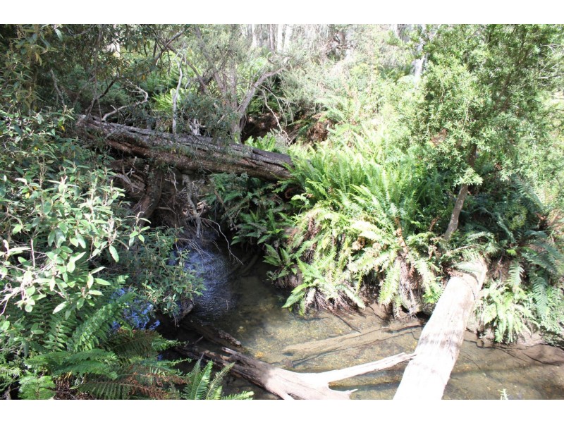 140 fishers tier rd, Rossarden TAS 7213