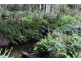 140 fishers tier rd, Rossarden TAS 7213