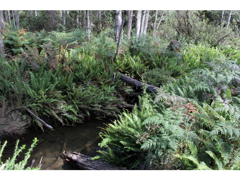 140 fishers tier rd, Rossarden TAS 7213