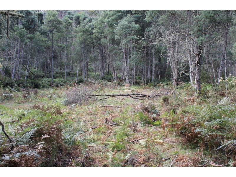 140 fishers tier rd, Rossarden TAS 7213