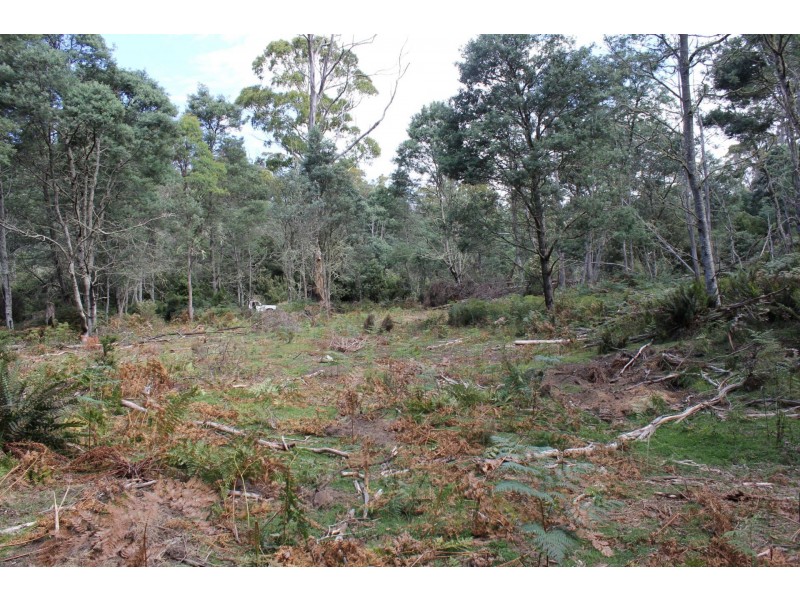 140 fishers tier rd, Rossarden TAS 7213
