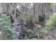 140 fishers tier rd, Rossarden TAS 7213