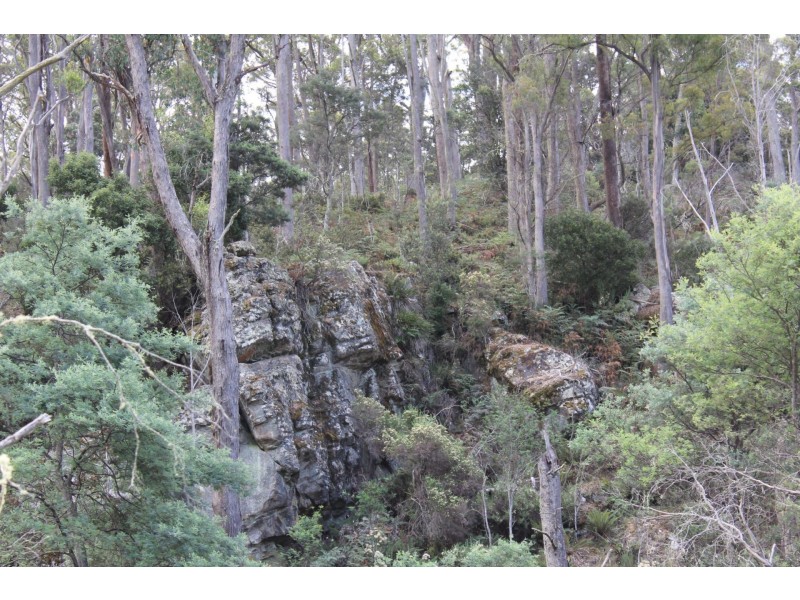 140 fishers tier rd, Rossarden TAS 7213