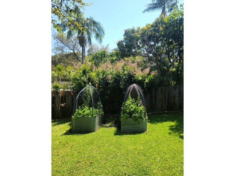 12 Blackbutt Avenue, Sandy Beach NSW 2456
