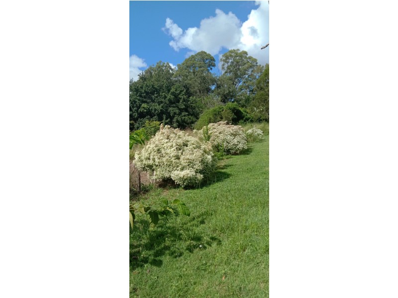 740 Kenilworth Skyring Creek Road, Carters Ridge QLD 4563