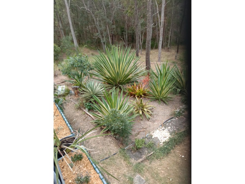 740 Kenilworth Skyring Creek Road, Carters Ridge QLD 4563