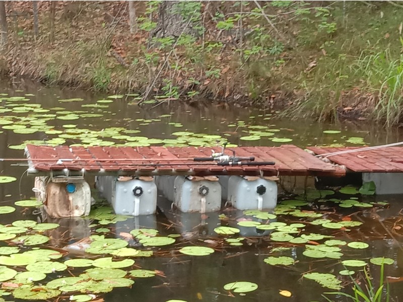 740 Kenilworth Skyring Creek Road, Carters Ridge QLD 4563