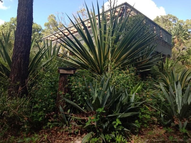 740 Kenilworth Skyring Creek Road, Carters Ridge QLD 4563