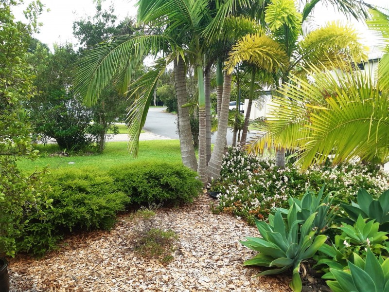 8 Alicia Circuit, Little Mountain QLD 4551