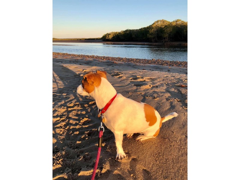 10 Jensen Avenue, Maaroom QLD 4650