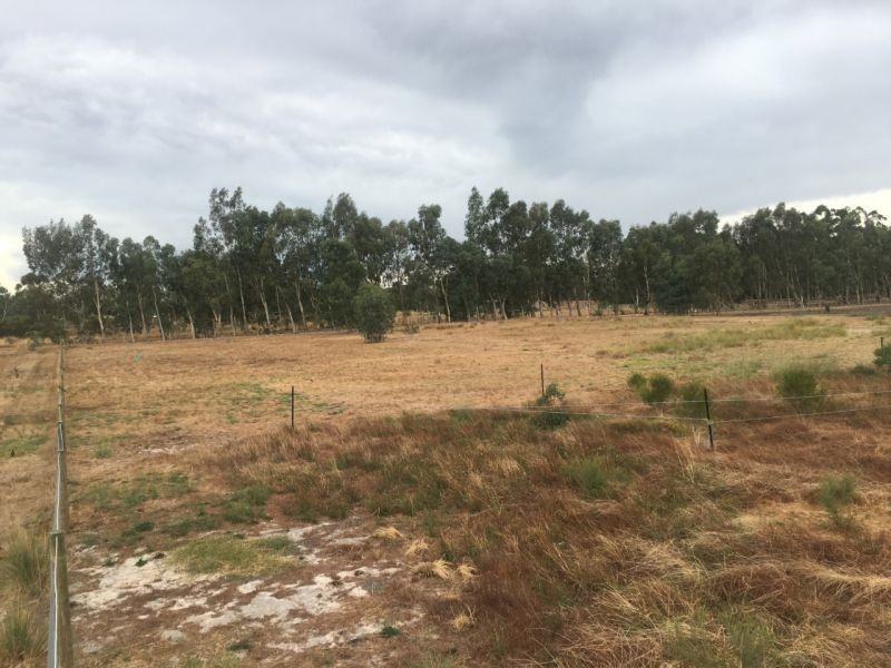 Lot 116 Bolliong Grove, North Dandalup WA 6207