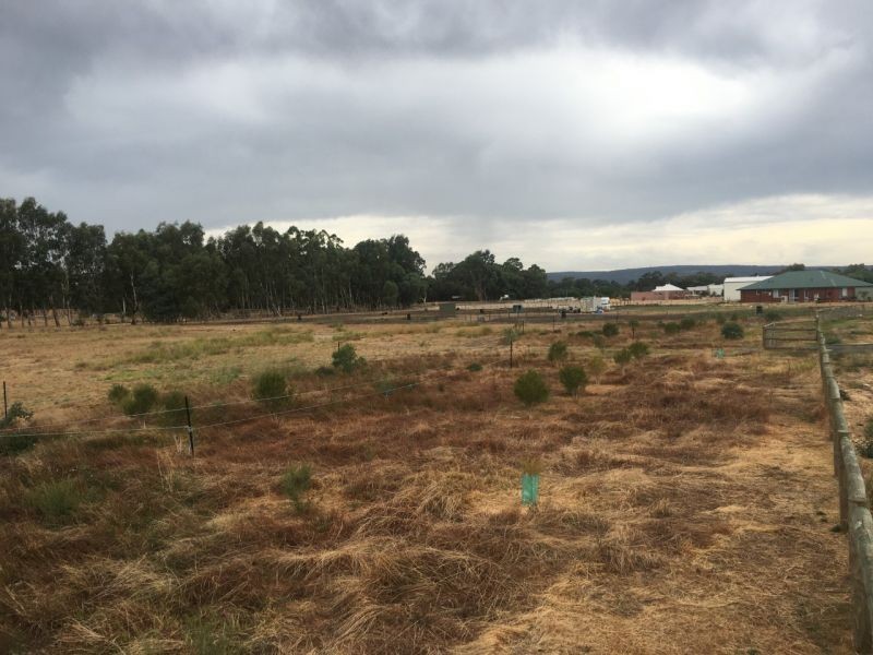 Lot 116 Bolliong Grove, North Dandalup WA 6207