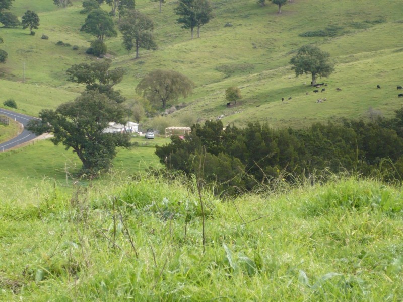 222 Warrigal Range Road, Brogo NSW 2550
