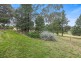 258 Woonooka Road, Daruka NSW 2340