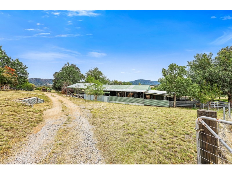 258 Woonooka Road, Daruka NSW 2340