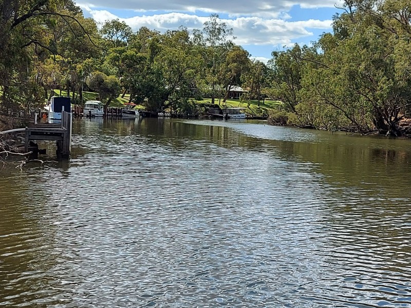 79 Rodoreda Crescent, Ravenswood WA 6208