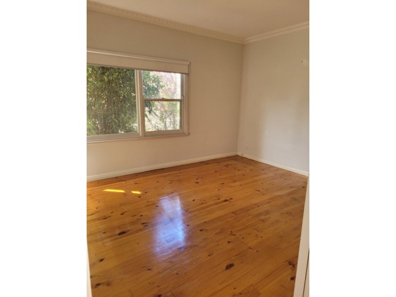 35 Sycamore Street, Hamlyn Heights VIC 3215