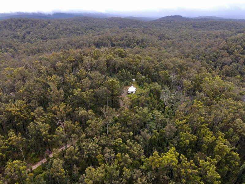 Lot 104 Pateman Road, Drake NSW 2469